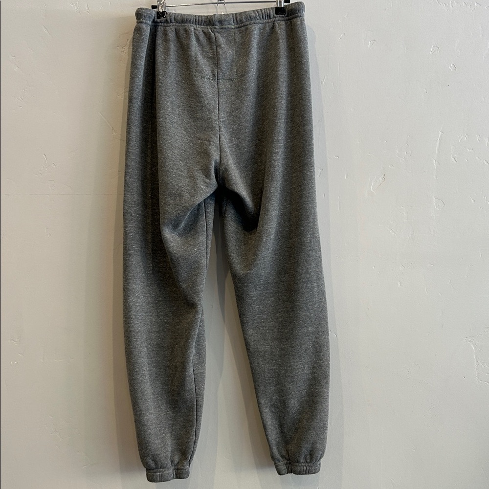 Aviator Nation Rainbow Embroidery Sweatpants - Picture 7 of 9